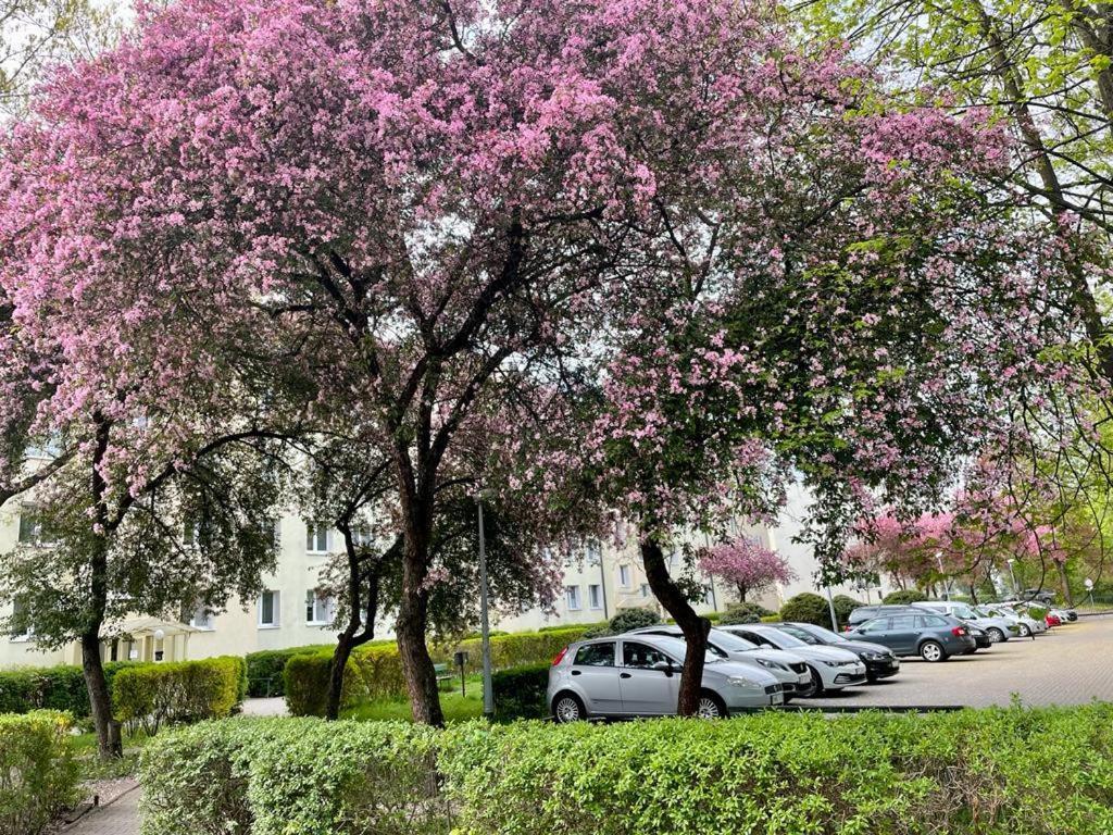 Apartament Rataja50 Olsztyn  Dış mekan fotoğraf